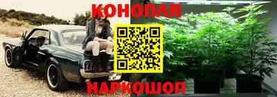 дживик Заволжье
