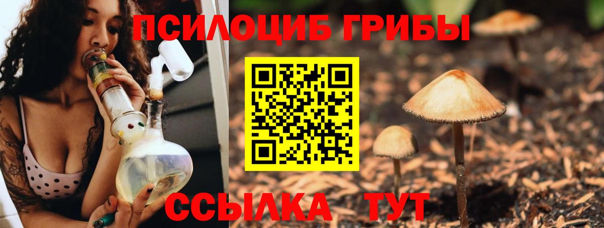 Галлюциногенные грибы Psilocybine cubensis  Вход с VPN  Псилоцибиновые грибы Magic Shrooms  Моздок 